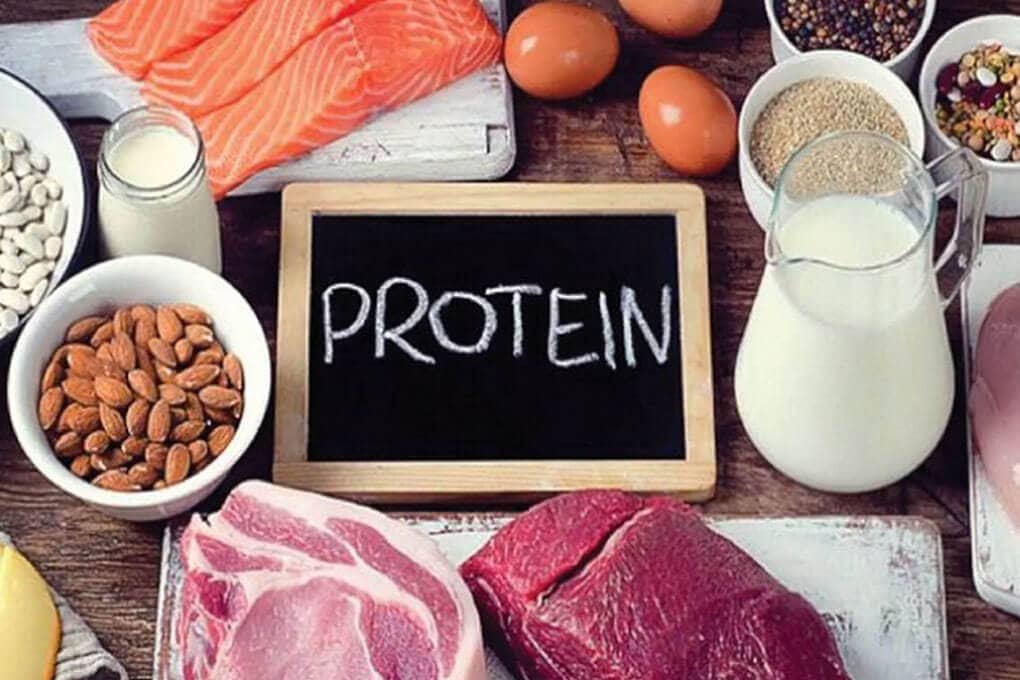 thuc-don-giam-can-hieu-qua-ma-an-toan bổ sung protein vào thực đơn giảm cân hiệu quả mà an toàn