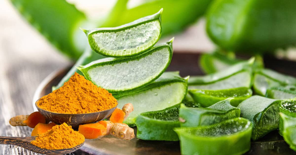 cach lam mat na nha dam voi nghe Phân phối thực phẩm chăm sóc sức khỏe và làm đẹp. Viên uống trắng da, viên uống chống nắng, collagen và các sản phẩm khác. Sản phẩm nhập khẩu và sản xuất trong nước. Cách làm mặt nạ nha đam với nghệ