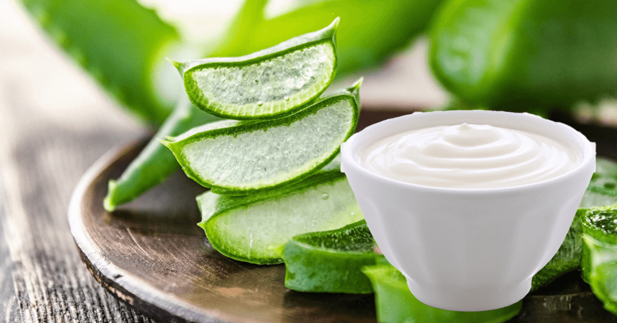 cach lam mat na nha dam voi sua chua Phân phối thực phẩm chăm sóc sức khỏe và làm đẹp. Viên uống trắng da, viên uống chống nắng, collagen và các sản phẩm khác. Sản phẩm nhập khẩu và sản xuất trong nước. cách làm mặt nạ nha đam với sữa chua tại nhà